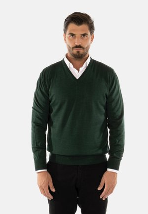 Maglione verde a scollo a v realizzato in tessuto a maglia con maniche lunghe, caratterizzato da una vita adatta e indossato sopra una camicia bianca con colletto.