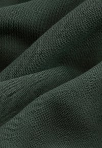 Next RICH - Sweat à capuche - green