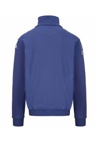 Felpa blu con colletto alto, maniche lunghe e polsini a coste. Presenta un dettagliato logo sulla manica sinistra e un retro semplice.