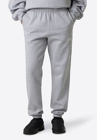 The North Face W SIMPLE DOME REGULAR TAPERED JOGGER - Trainingsbroek - tnf light grey heather