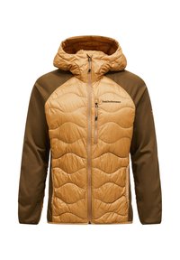 Unselected, camel