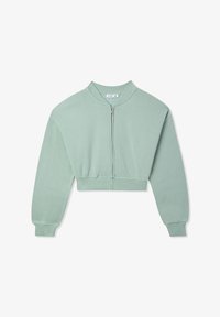 Selezionato, verde acqua chiaro