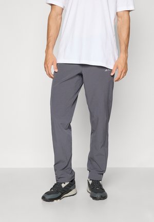 Adidas Terrex STRETCH - Outdoor trousers - grey six