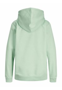 JJXX JXABBIE EVERY HOOD - Jersey con capucha - grayed jade