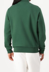 Sudadera verde con cuello alto, puños y cinturilla acanalados. Textura suave, con un diseño sencillo, mostrada desde atrás.