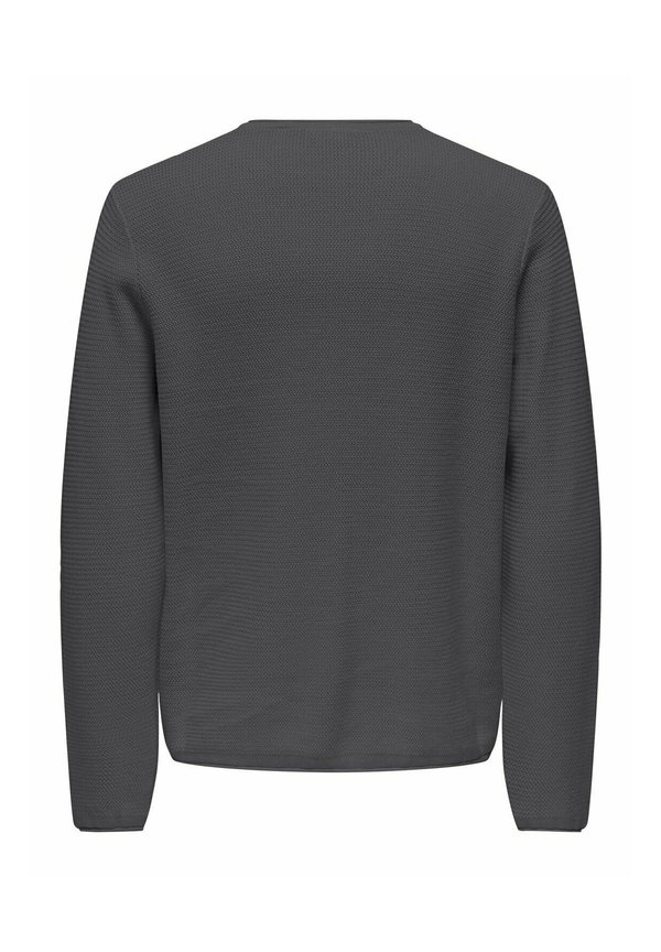 NORMAL GESCHNITTEN RUNDHALSAUSSCHNITT - Jumper - grau2