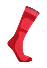 ZIGZAG TIPPY - Overknee kousen  - teaberry