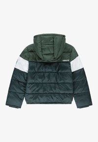 Gewatteerde groene jas met een capuchon, voorzien van een ontwerp met witte en donkergroene strepen, een gestikte textuur en het Levi's-logo op de achterkant.