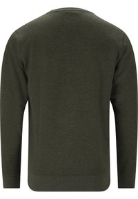 Pull à col rond vert olive en tissu tricoté doux, avec des manches longues et un ourlet côtelé. Design minimaliste sans motifs ni accents visibles.