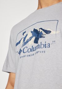 Camiseta de manga corta gris con un gráfico de montaña azul y el texto "Columbia Sportswear Company". Material de algodón suave.