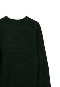 Calliope GIROCOLLO TINTA UNITA - Maglione - verde
