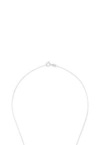 Sølvhalsband med en elegant kedjedesign med små runda länkar och lås med hummerklämma.