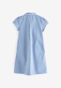 Blauw-witte ruitjes jurk met korte mouwen en een kraag, voorzien van een rugplooien en een losse A-lijn silhouet. Katoenen stof, zachte textuur.