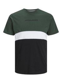 Jack & Jones JJEREID BLOCKING TEE - Apdrukāts T-krekls - mountain view