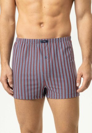 Männlicher Oberkörper mit blau-rot vertikal gestreiften Boxershorts, vorne Knopf und elastischem Bund.