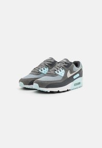 Nike Sportswear AIR MAX 90 - Sapatilhas - light pumice/photon dust/smoke grey/anthracite/glacier blue/black