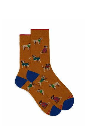 WITH DOG MOTIF - Calze - curry