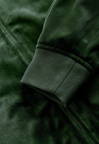 Tessuto di velluto verde scuro caratterizzato da una texture liscia e da un polsino a coste. La lucentezza del tessuto riflette la luce, mettendo in evidenza la sua profondità e le variazioni di colore.