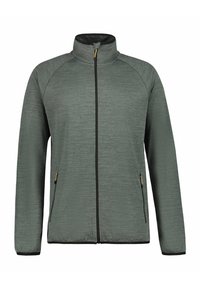 BRIDGMAN - Trainingsjacke - dunkel olivgrün