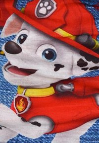 Chien de dessin animé en tenue de pompier rouge avec un collier jaune, des taches noires, des yeux bleus et une expression souriante sur un fond bleu.