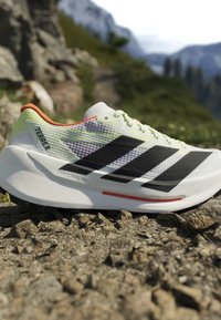 Άσπρο και νέον πράσινο παπούτσι Adidas Terrex για trail running με μαύρες ρίγες που ακουμπά σε πετρώδη ορεινό μονοπάτι.