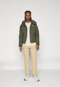 Patagonia DOWNDRIFT - Jakna ispunjena paperjem - pine needle green