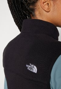 Black fleece vest with high collar, featuring a white embroidered logo on the back. The front has a contrasting light blue panel.