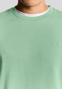 Mintgrön sweatshirt med ribbad rund hals och en mjuk textur. Har diskret broderade detaljer på framsidan.