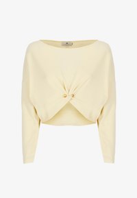 Elisabetta Franchi Felpa light yellow/giallo chiaro