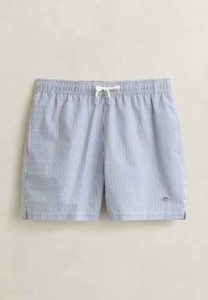 Costume da bagno da uomo a righe blu e bianche con cintura elastica e coulisse bianca, con tasche laterali e un piccolo logo sulla gamba.