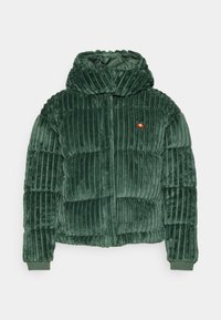 ROMOLO JACKET - Winterjas - dark green