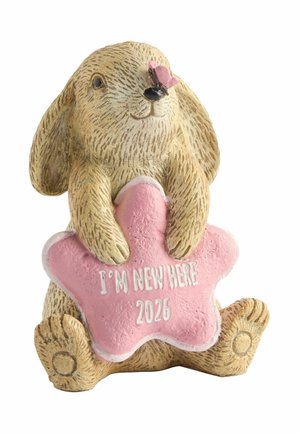 Braune Hasenfigur, die einen pinken Stern mit "I'M NEW HERE 2026," hält, mit einem pinken Schmetterling auf der Nase vor weißem Hintergrund.