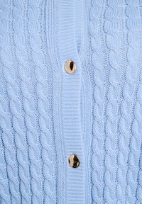 Svetlomodrý pletený sveter s vrkočovým vzorom, rebrovanými okrajmi a zlatým gombíkom vpredu. Mäkká textúra.