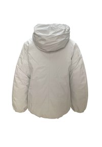 Giubbotto imbottito in grigio chiaro, caratterizzato da un cappuccio, maniche lunghe e un design leggermente imbottito. Texture liscia e opaca con dettagli di cucitura minimi.