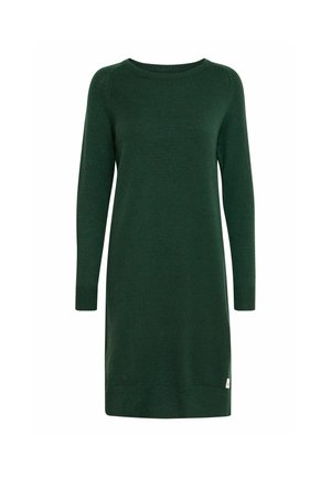 Groene gebreide jurk met lange mouwen, ronde halslijn en geribbelde manchetten. Bevat een klein labeldetail aan de zoom. Soepele textuur.