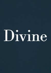 Tessuto blu scuro con lettering bianco testurizzato che scrive "Divino." Il carattere è in grassetto e ha un aspetto leggermente usurato.