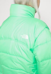 Person med lyst blond hår, iført en lys grøn, polstret North Face-jakke, set fra ryggen og let drejet mod højre.