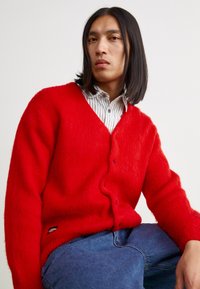 Manastash ABERDEEN KURTIGAN - Chaqueta de punto - red