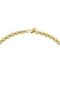 Kultainen metalliketjukaulakoru, jossa on pyöreät lenkit, kuvioitu pinta ja pihkalukko. Yksinkertainen ja tyylikäs muotoilu.