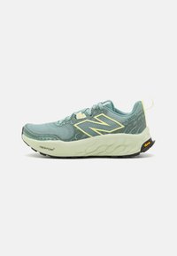 FRESH FOAM X HIERRO V8 - Chaussures de running - salt/marsh/limelight