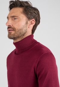 Een man met een baard en kort haar draagt een bordeauxrode coltrui en kijkt bedachtzaam opzij tegen een lichte achtergrond.