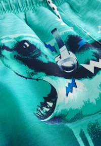 Next PRINTED REGULAR FIT - Shorts da mare - aqua shark