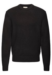 Unausgewählt, black beauty