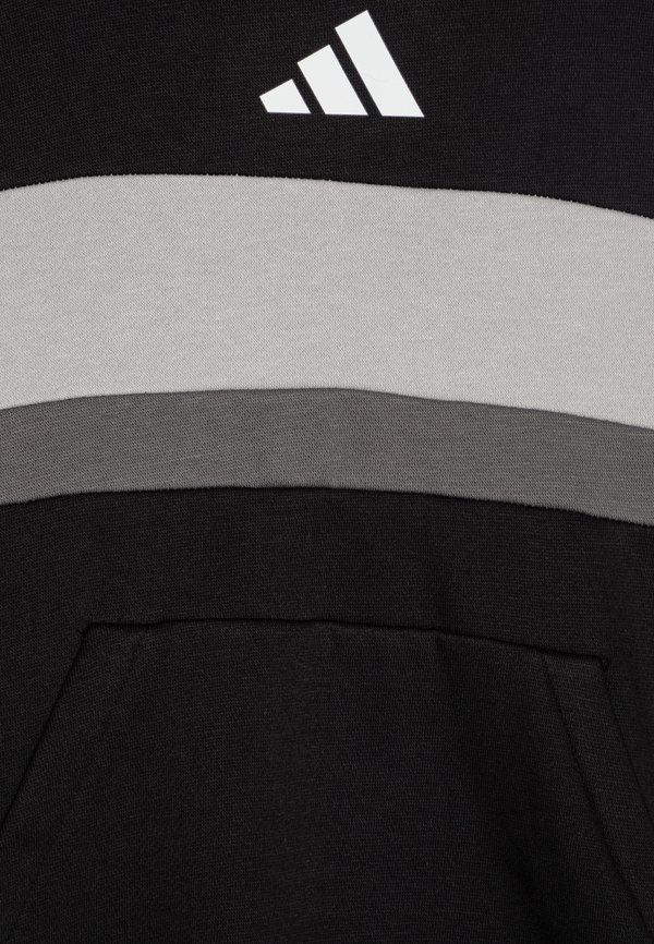 SEASONAL ESSENTIALS TIBERIO JUNIOR UNISEX - Sweatshirt3