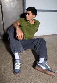 Puma PARK LIFESTYLE UNISEX - Gördeszkacipők - cool dark gray/alpine snow/strong gray