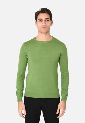 Uomo in piedi davanti a uno sfondo neutro, indossa un maglione a maniche lunghe verde chiaro e pantaloni neri, guarda in avanti con un'espressione neutra.