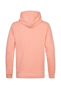 Sweat à capuche rose clair à manches longues, poignets côtelés et capuche, vu de dos sur un fond blanc.