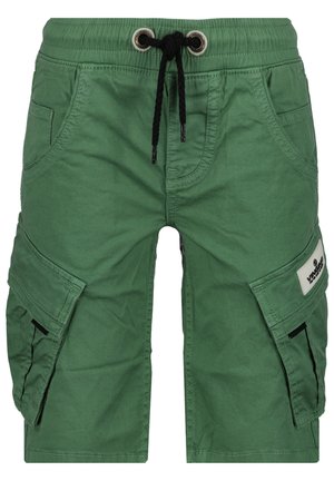 CLIFF - Pantalon cargo - slate green