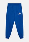SPORTSWEAR CLUB FLEECE - Treniņtērpa apakšdaļas - game royal/safety orange/white