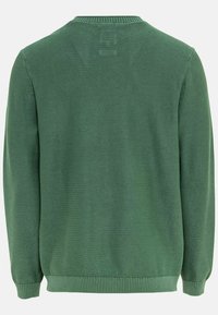 Green knit sweater with a textured surface, ribbed cuffs and hem, and a crew neckline, featuring a solid color and casual design.